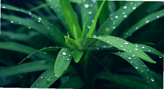 �����ݶ̾���������,�̾�APP�������� �ֻ���ͼ