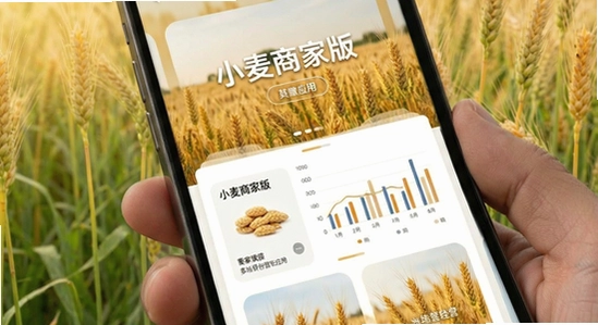 小麦商家版多场景经营应用图