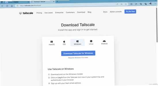 Tailscale�ٷ������غ��¼�����ͼ,�ؼ���Tailscale�ٷ�������
