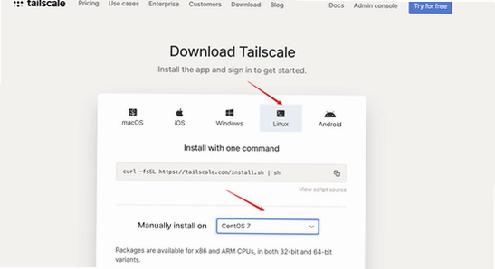 Tailscale�ٷ�������ҳ��汾ѡ��ʾ��ͼ,�ؼ���Tailscale�ٷ�������