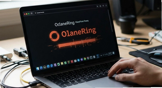 OlaneRing��װʧ����ô��