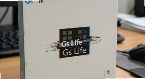 Gs Life��װ��������ô��