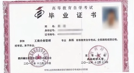 植物大战僵尸2shuttle新版本下载,PvZ 2 SHUTTLE游戏宣传图,色彩丰富无水印