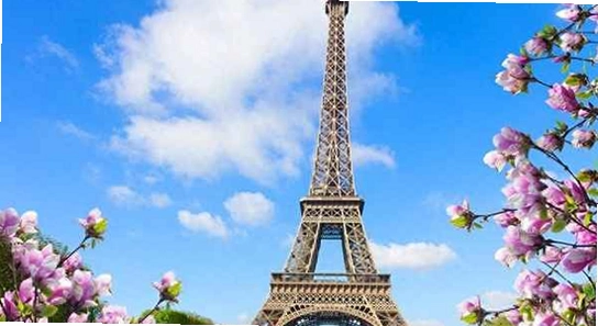 oppo����App���°����� �ֻ�����Ӧ�ý��� ɫ�ʷḻ ��ˮӡ ����ͼ
