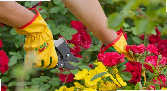 ��ӳAPP�������Ѹ߼��� ��װ���� ����ͼ,ɫ�ʷḻ ��ˮӡ ����ͼ