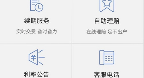 中国人寿双录系统智能抢先版安卓版下载安装完成后的应用图标,手机桌面显示双录系统图标,无水印