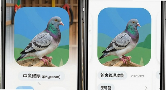 �и���app�����������չʾ