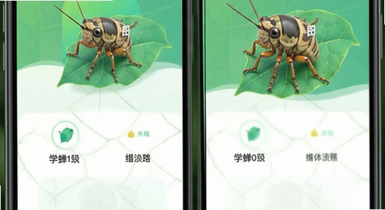 ѧ��app�����湦��չʾͼ