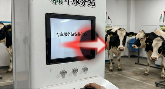 有牛服务站安装后闪退怎么办