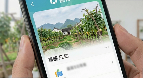 in����app����չʾ