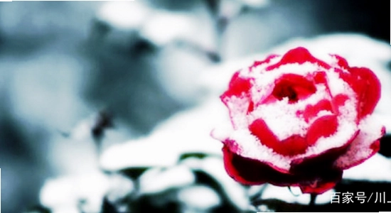 ����ʱ����app���ڵ��������װ����,ɫ�ʷḻ��ˮӡ����ͼ