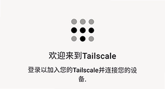 Tailscale�ٷ������� ʹ�ó��� ʾ��ͼ, ɫ�ʷḻ ��ˮӡ