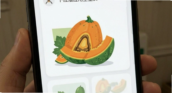 ����Ӧ���������ͼ