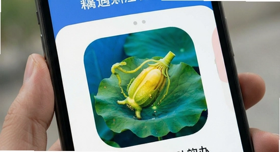 ź��app��֤���ղ�������취