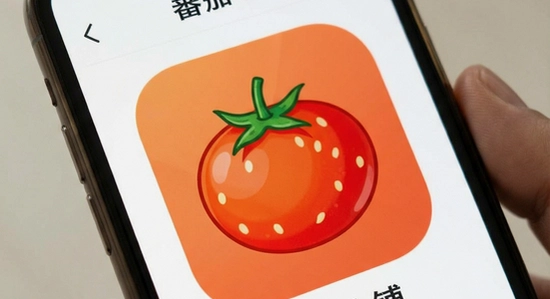 番茄小铺app界面展示
