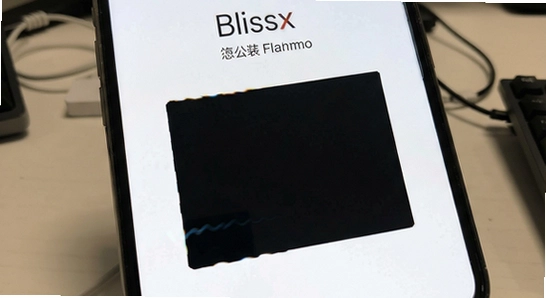 Blissx��װ�����˺�����ô��