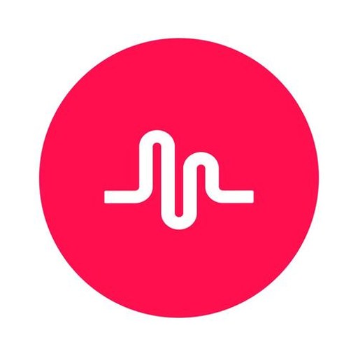 BGM Lite�ٷ�����v1.2.5 ����׷��
