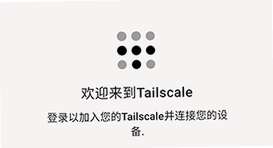 Tailscale�ٷ������� ��ȫ���� �ܿ� ����ͼ