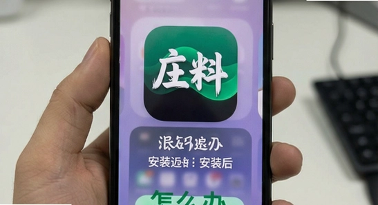 ׯ��app��װ��������ô��