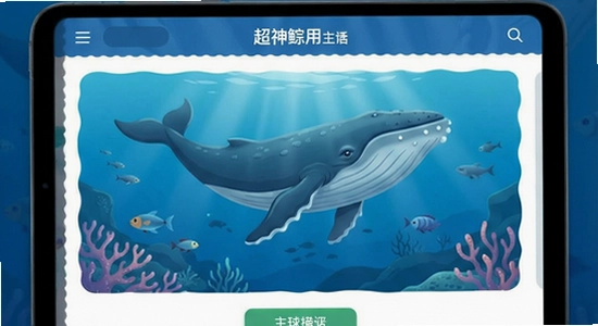 ����Ӧ�����������չʾͼ