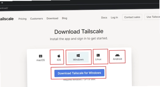 Tailscale ��ƽ̨ �豸�б� �����ɹ� ��ͼ, Tailscale �ٷ��� ʹ�ý���