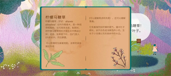 �豭������Ϸ����