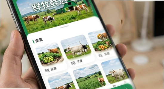 鲜牧鲜达应用主界面展示