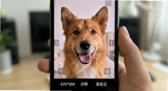 670*360����ʶ��ȫ����ʶ�����չʾ