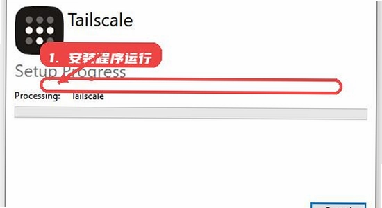 Tailscale�ٷ������� ��װ���� ��ͼ