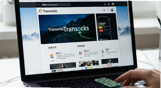 穿梭Transocks连接成功但无法访问国内网站