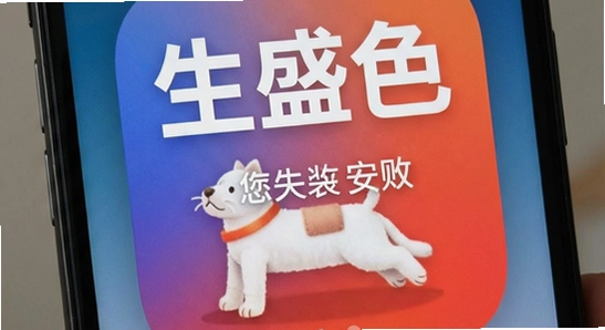 ��ʢɫapp��װʧ����ô��