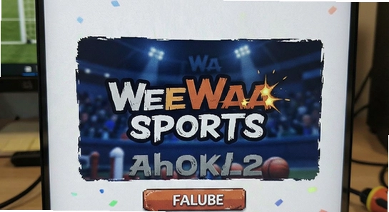 WeeWaa Sports��װʧ����ô��