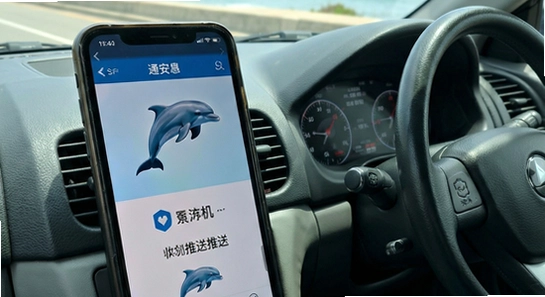 双海豚司机通安装后无法定位或收不到推送怎么办