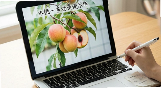 ľ��д���ೡ��ʹ��ʾ��