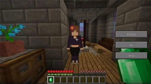 ����ģ�鰲װ���ֻ�������(Jenny Mod)v5.80 ���°�