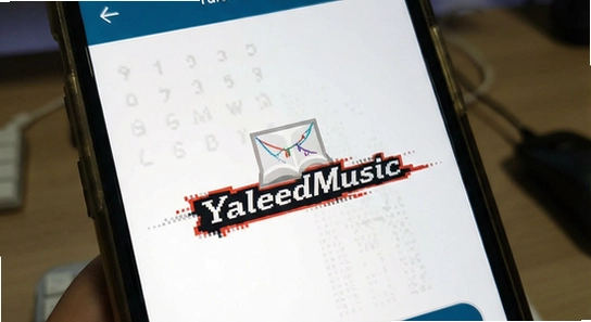 YaleedMusic安装后闪退怎么办