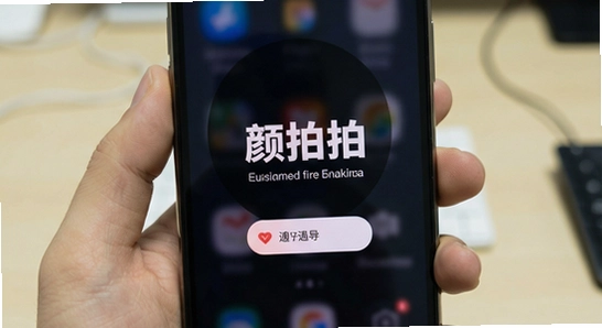 颜拍拍安装后闪退怎么办