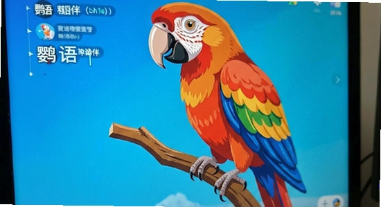 ����鰲װʧ����ô���