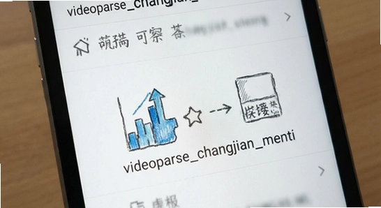 videoparse_changjian_wenti