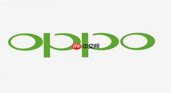 OPPO�ֻ�ϵͳ�汾��Ϣ����,��׿�汾�鿴��ͼ