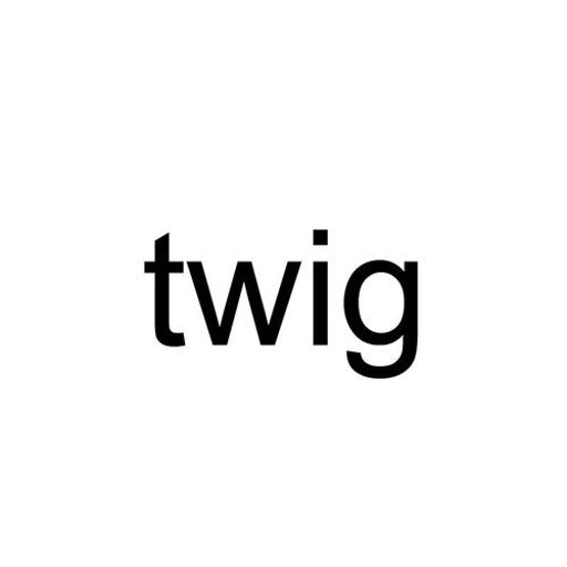 Twig�ٷ�������v1.15.2 �ٷ�����