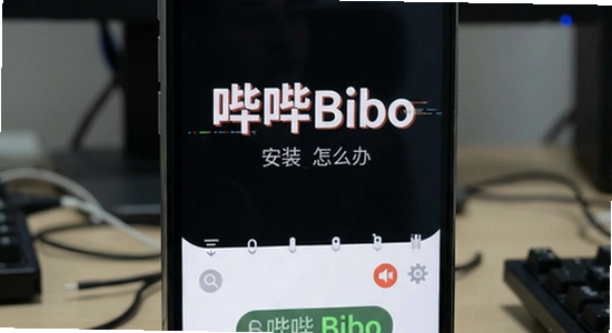 ����Bibo��װ��������ô��