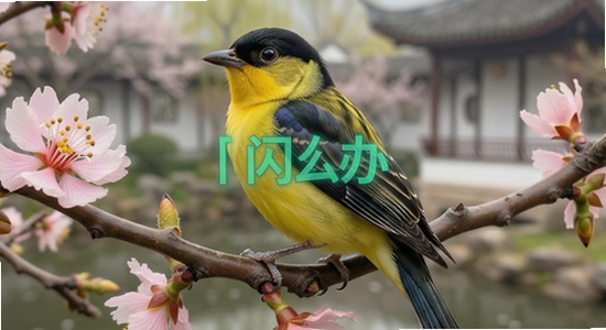 ��ݺů����װ������ô��