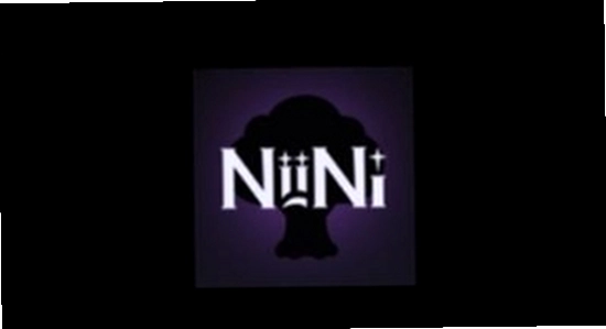NiiNi官方下载安装界面,色彩丰富无水印宣传图