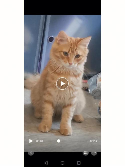 С��֤����app����v1.0.0 ���ܿ�ͼ����