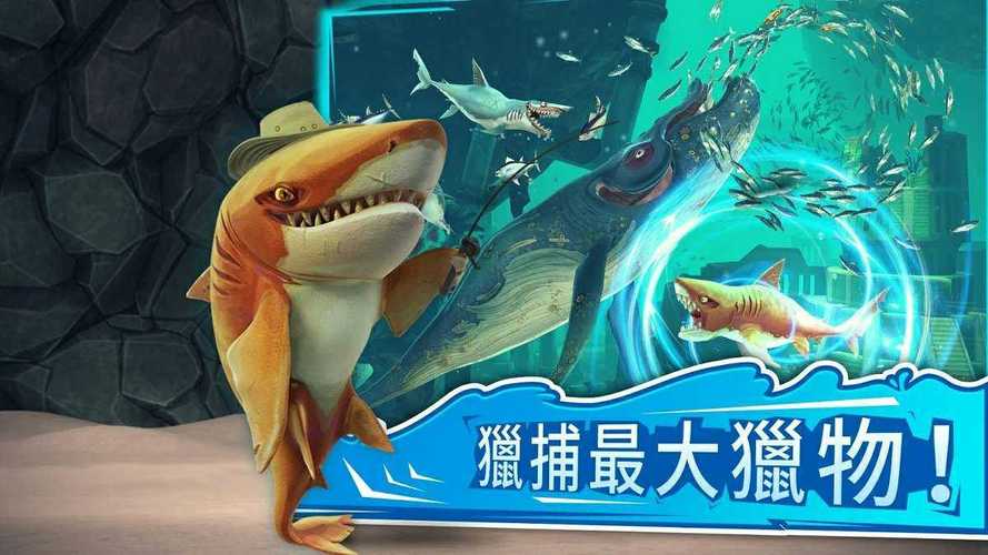 SharkDroid��ͼ