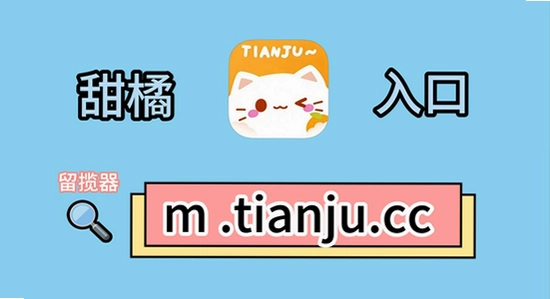 ��������糡Ȩ������˵��