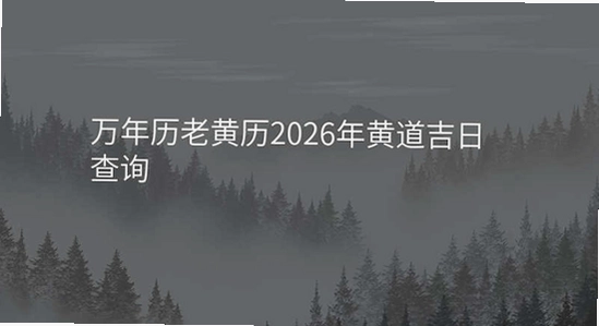 �����������ϻ���2026�߼��� ���������� ����ʾ��ͼ