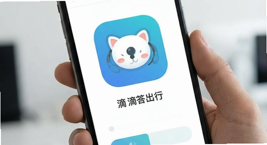 �δ�γ���app����չʾͼ