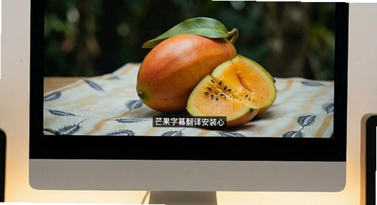 芒果字幕翻译安装后无法识别本地视频怎么办